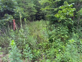 49 Bayside Blvd, Bean Station, TN 37708