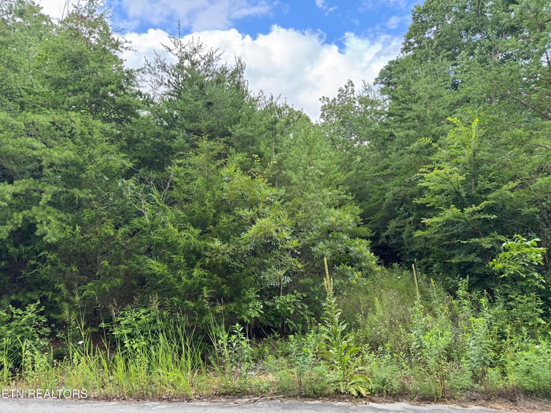 49 Bayside Blvd, Bean Station, TN 37708