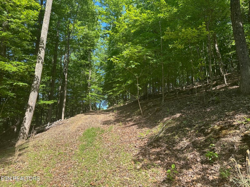 490 Fox Ridge Ln, Caryville, TN 37714