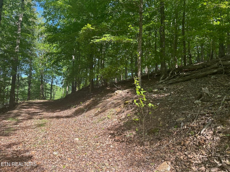 490 Fox Ridge Ln, Caryville, TN 37714