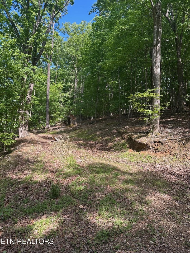 490 Fox Ridge Ln, Caryville, TN 37714