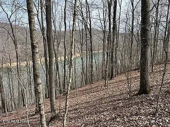 490 Fox Ridge Ln, Caryville, TN 37714