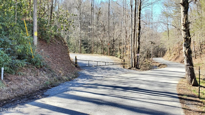 4903 Long Rifle Rd, Walland, TN 37886