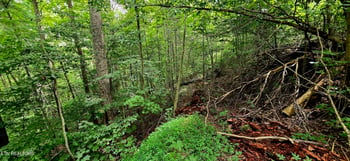 491 Chetola Tr, Townsend, TN 37882