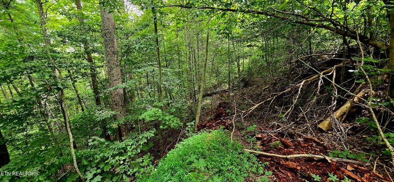 491 Chetola Tr, Townsend, TN 37882