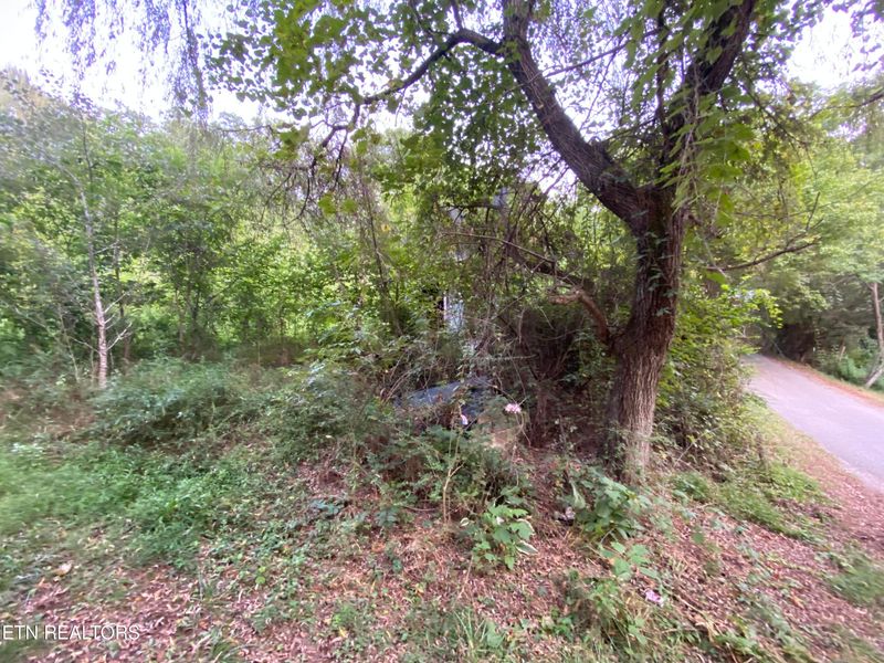491 Mackey Rd, Washburn, TN 37888