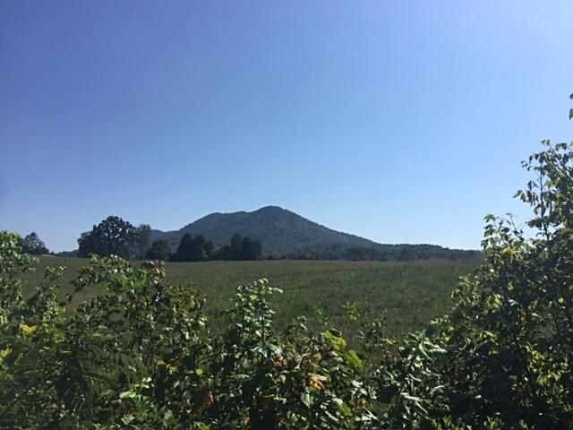 4911 Roberts Rd, Corryton, TN 37721