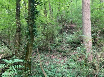 4921 Wise Hills Rd #1, Knoxville, TN 37920