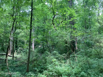 4921 Wise Hills Rd #2, Knoxville, TN 37920