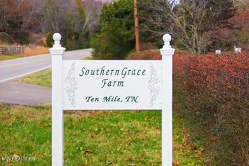 4957 Decatur Highway Hwy, Ten Mile, TN 37880