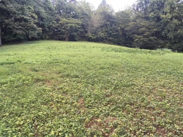 496 Bazel Rd, Harriman, TN 37748