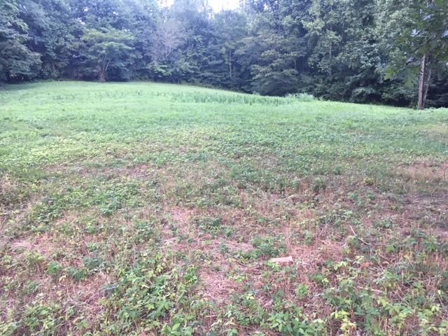 496 Bazel Rd, Harriman, TN 37748