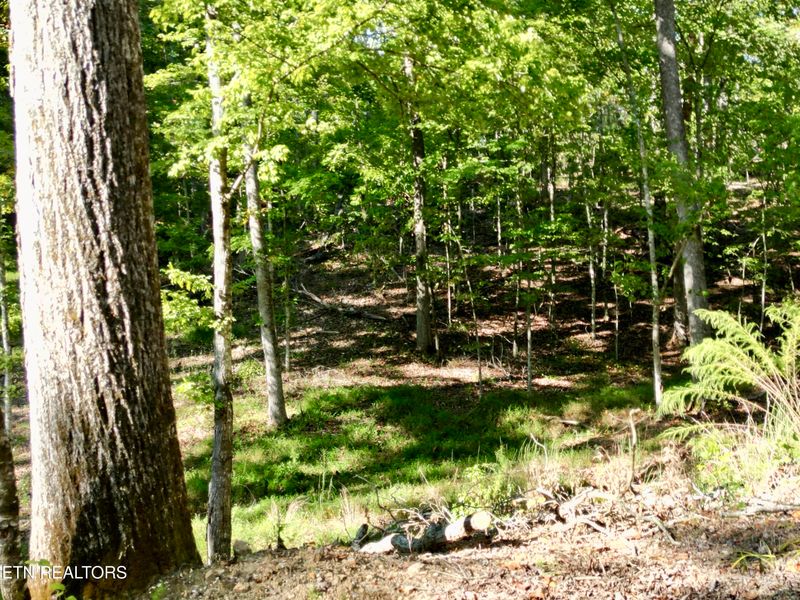 497 Thompson Rd, Lenoir City, TN 37772