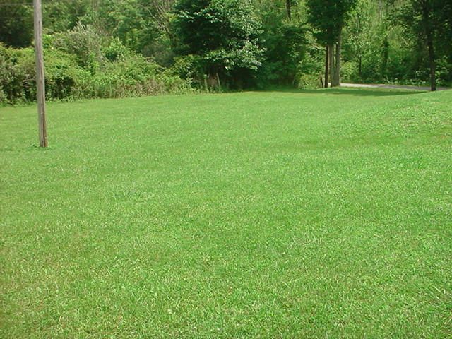 4976 White Oak Rd, Duff, TN 37729