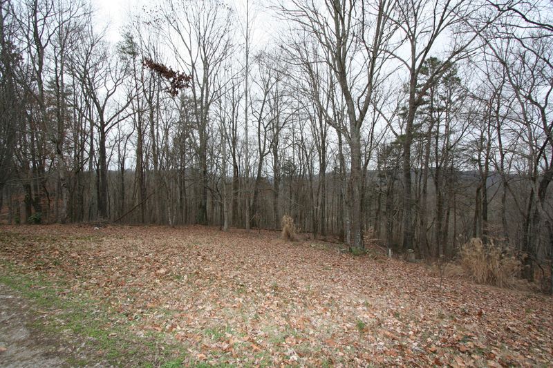 499 Wallace Rd, Luttrell, TN 37779