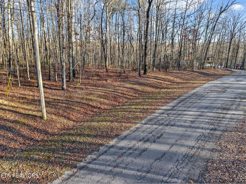 5 Clyde Pl, Monterey, TN 38574