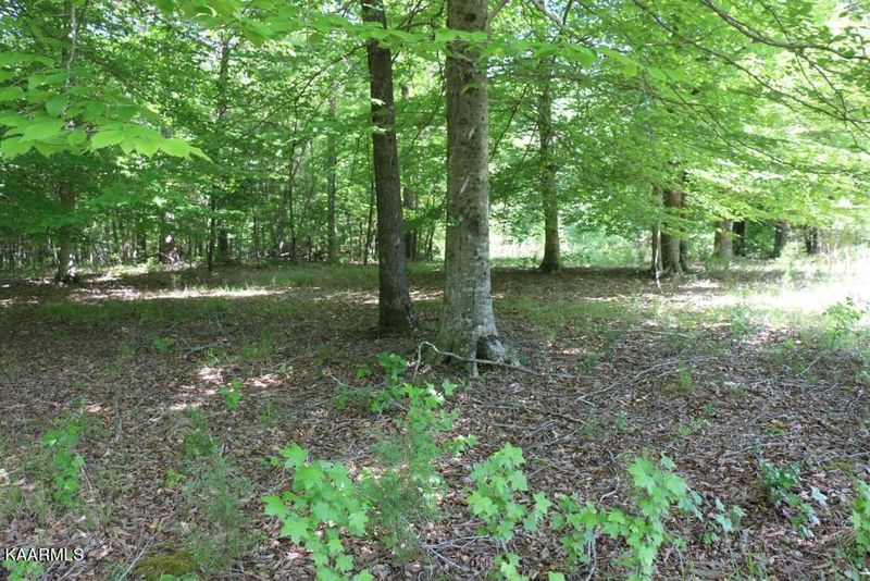 5.02 ac County Road 48, Athens, TN 37303
