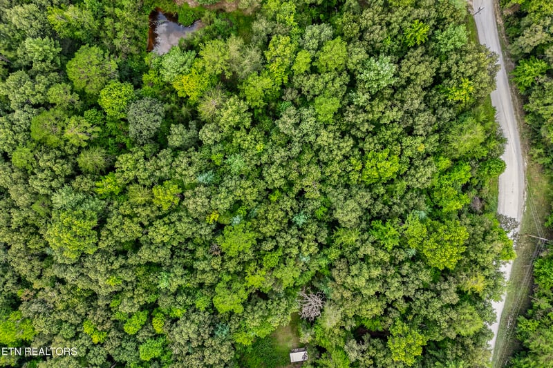 5.1 Acres Muddy Branch Rd, Crossville, TN 38571