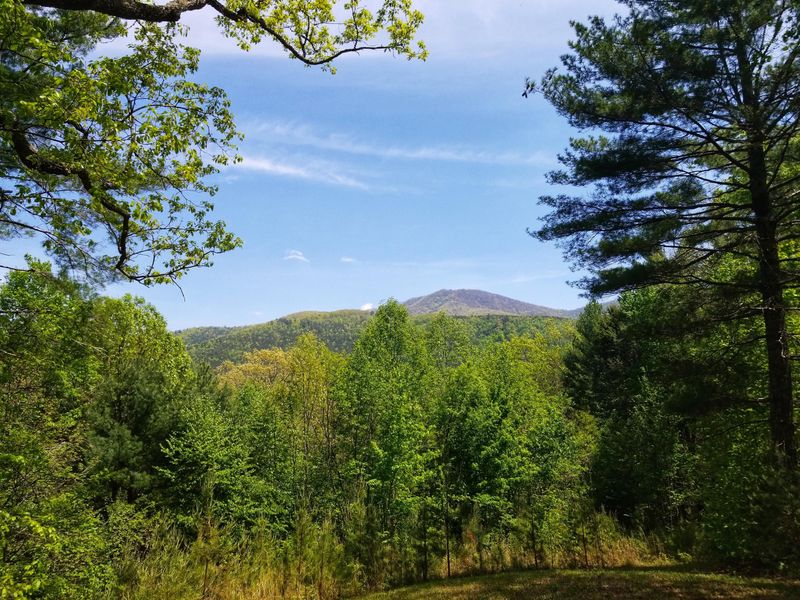 5.20 Acres Smithfield Rd, Tellico Plains, TN 37385