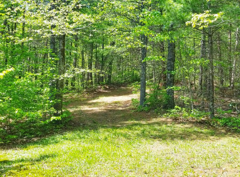 5.20 Acres Smithfield Rd, Tellico Plains, TN 37385