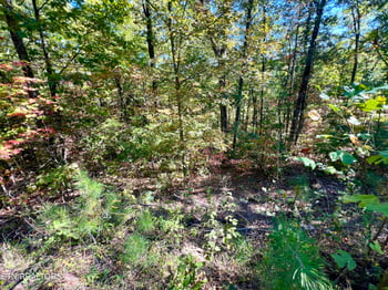5.61 Acres Creek Hollow Way, Sevierville, TN 37876