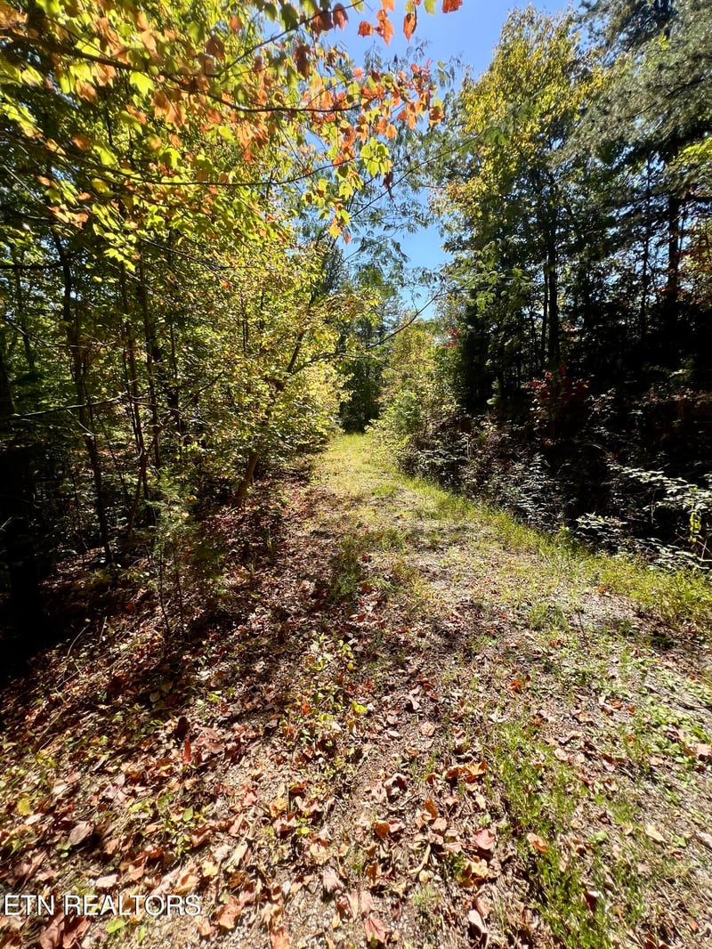5.61 Acres Creek Hollow Way, Sevierville, TN 37876