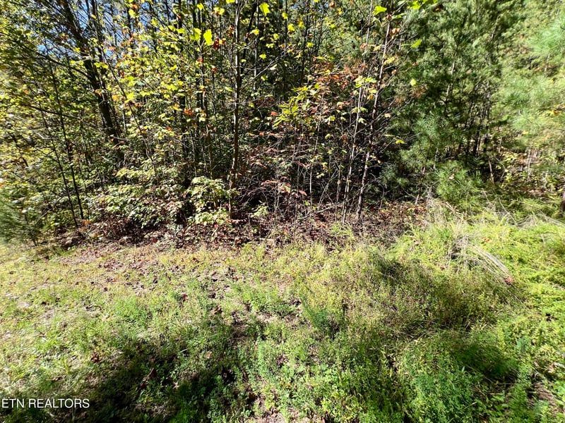 5.61 Acres Creek Hollow Way, Sevierville, TN 37876
