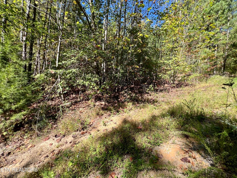 5.61 Acres Creek Hollow Way, Sevierville, TN 37876