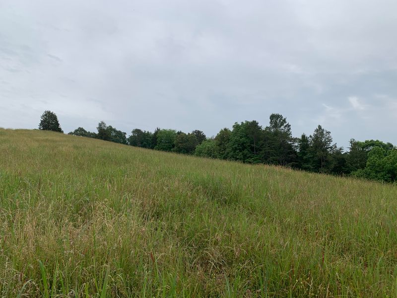 5.67 AC Vonore Rd Tract 8, Loudon, TN 37774