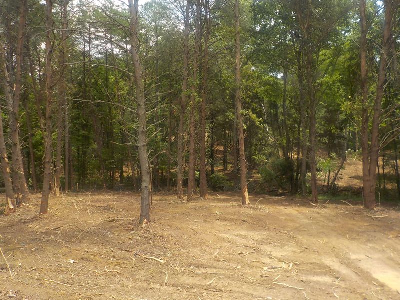 5.67 Acres Old Rutledge Pike, Blaine, TN 37709