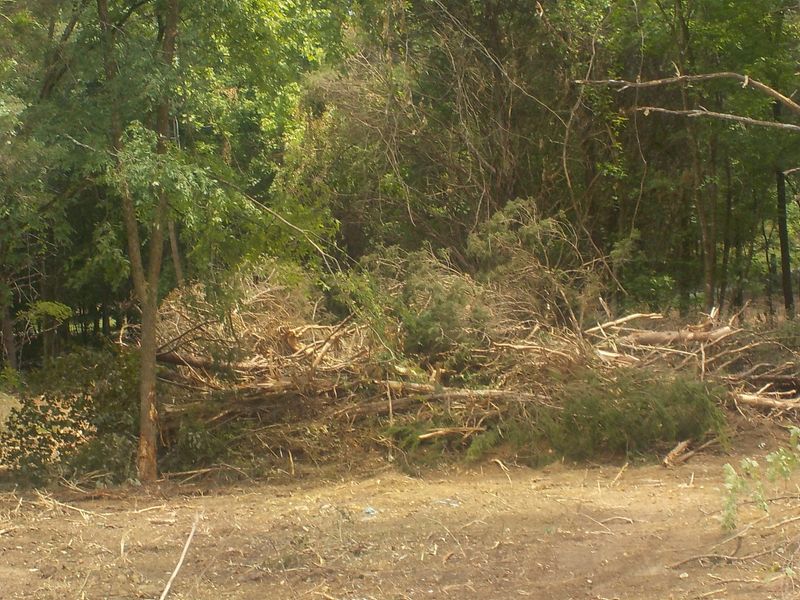 5.67 Acres Old Rutledge Pike, Blaine, TN 37709