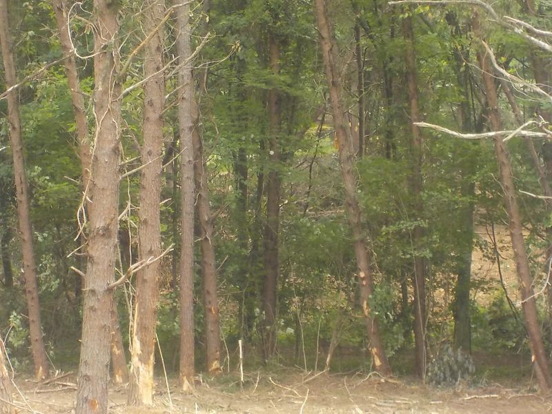 5.67 Acres Old Rutledge Pike, Blaine, TN 37709