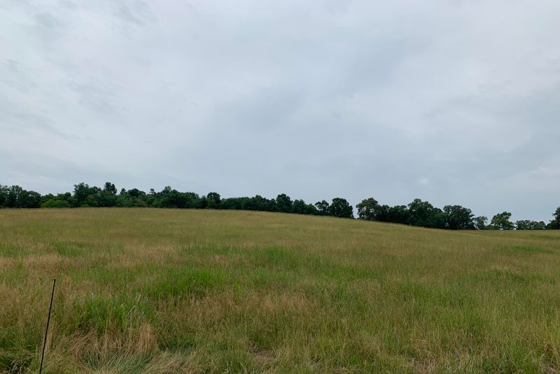 5.85 AC Vonore Rd Tract 6, Loudon, TN 37774