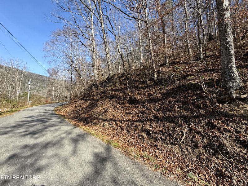 5.97 Ac Avondale Hollow Rd, Rutledge, TN 37861