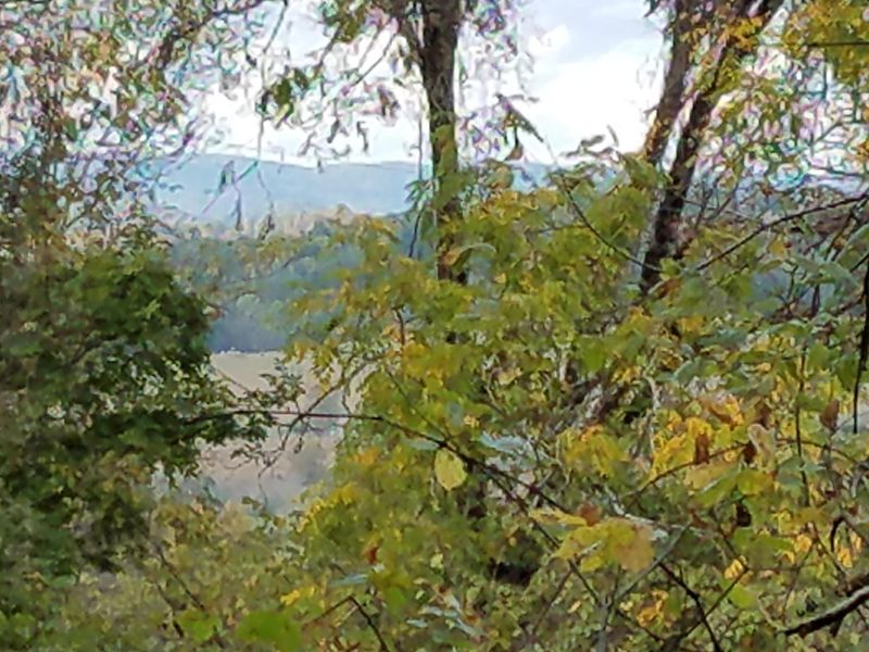 50 Acres Coffey Chapel Rd, Thorn Hill, TN 37881