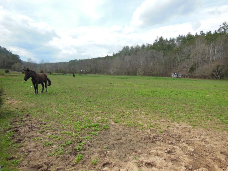 50.20 Acre Wilhite Rd, Sevierville, TN 37876