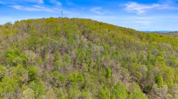 500 Dogtown Rd, Ten Mile, TN 37880