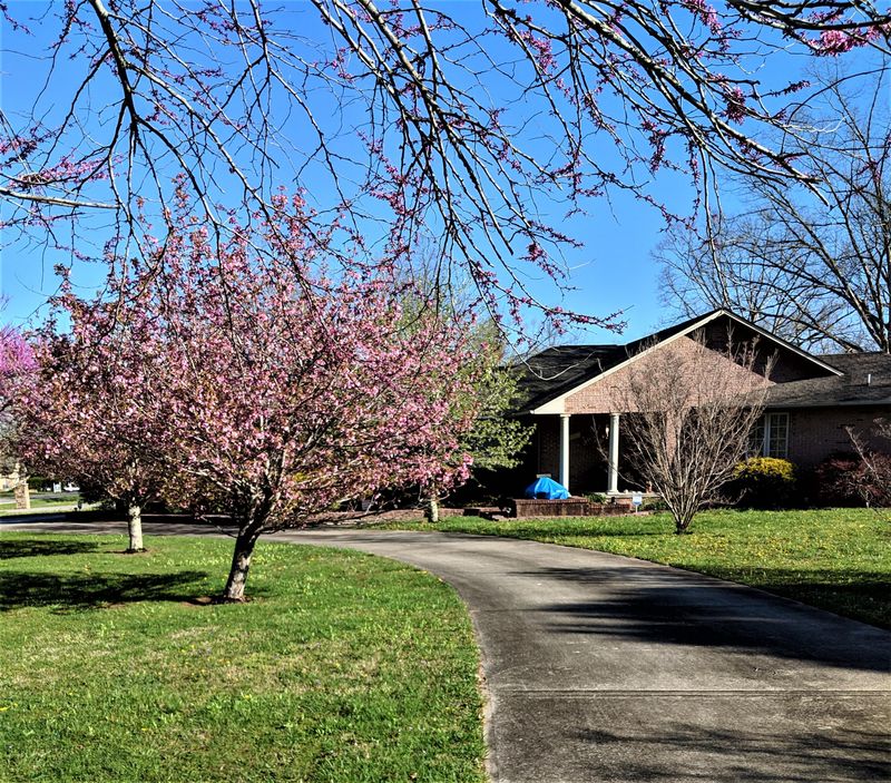 5001 Cheyenne Dr, Crossville, TN 38572