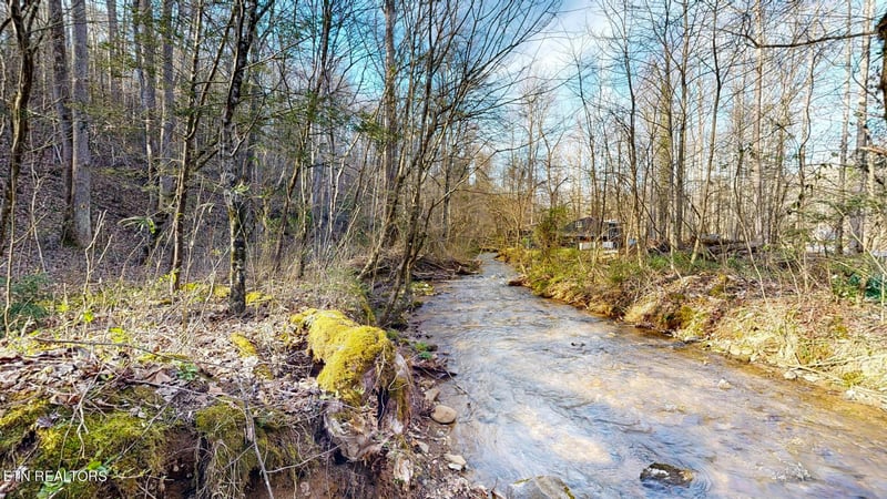 5009 Mathis Branch Rd, Cosby, TN 37722