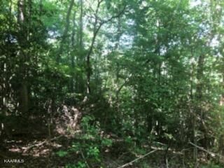 501 Camp Austin Rd, Oakdale, TN 37829