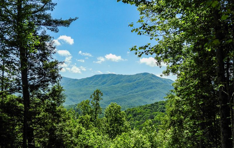 5011 Riversong Way, Sevierville, TN 37876