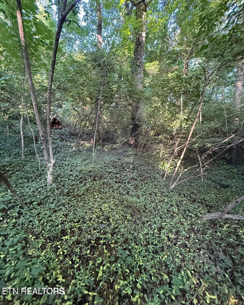 5016 Ridgemont Dr, Knoxville, TN 37918