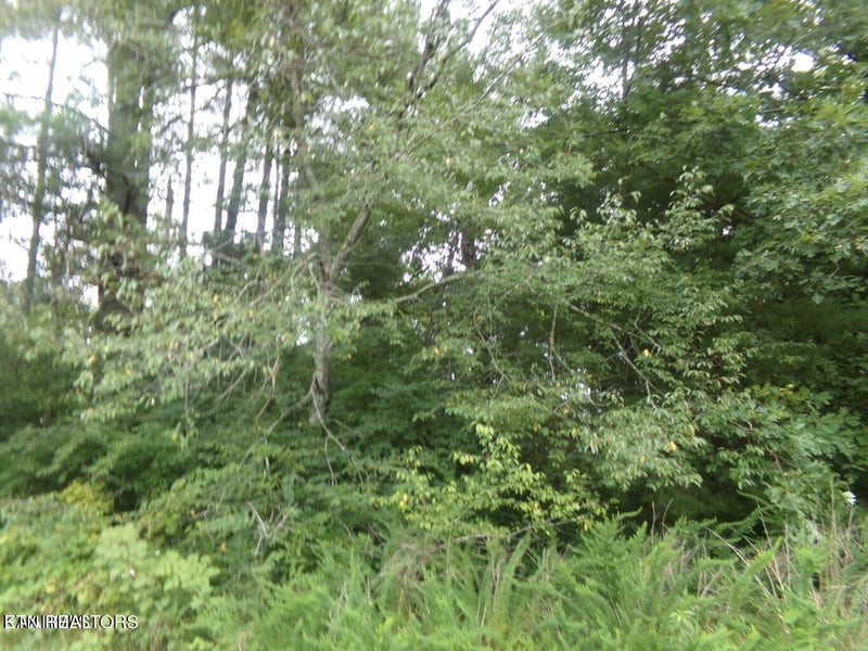 5018 Beaver Rd, Crossville, TN 38572