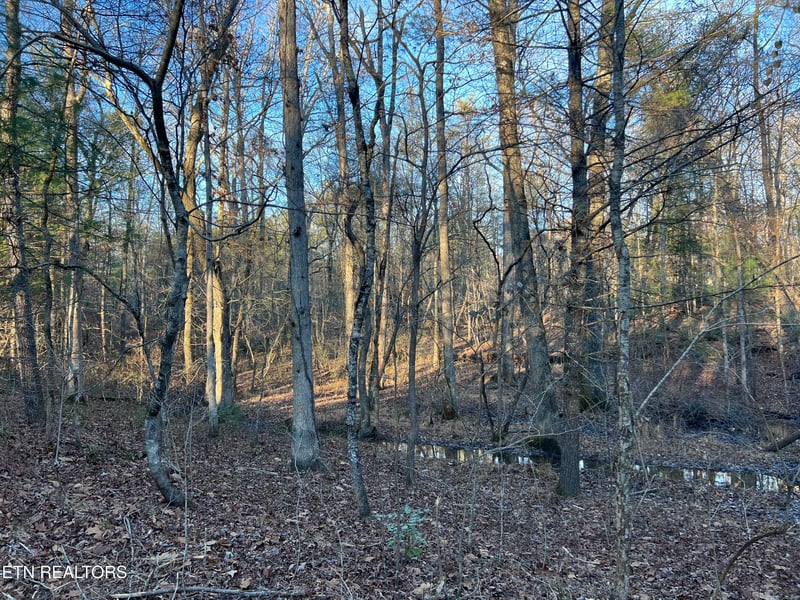 5019 Broken Bow Dr, Crossville, TN 38572