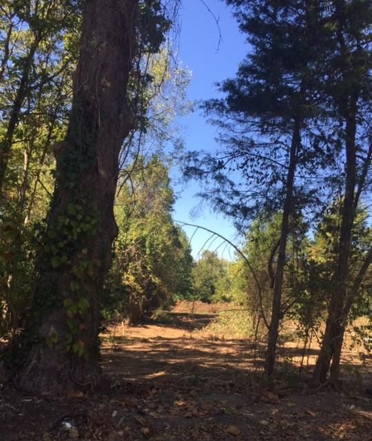 503 Broome Rd, Knoxville, TN 37909