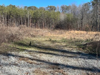 504 Wiggins Rd, Tellico Plains, TN 37385