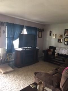 505 Bryson St, Athens, TN 37303