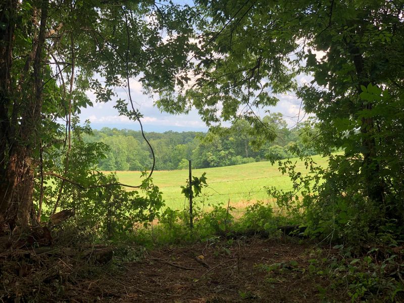 505 Cave Creek Rd, Loudon, TN 37774
