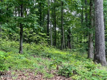 506 Grande Vista Dr, Rockwood, TN 37854