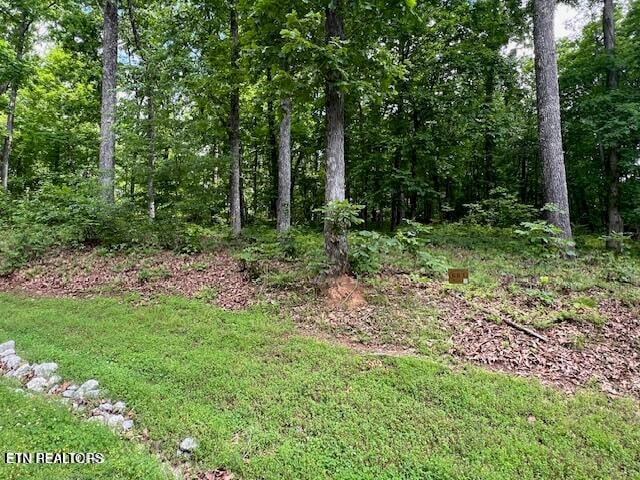 506 Grande Vista Dr, Rockwood, TN 37854